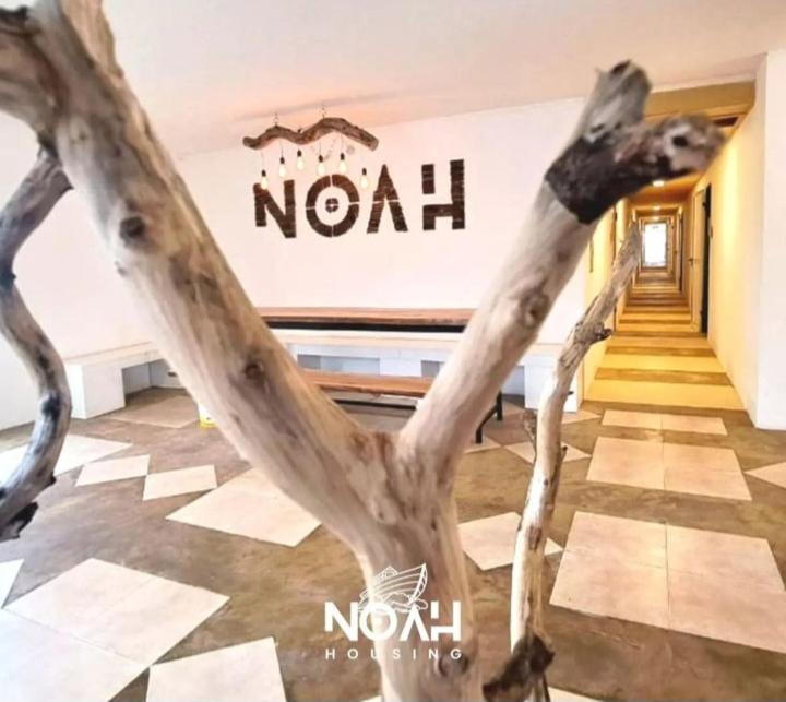 Hostel Noah Housing Santo Tomé Exteriér fotografie